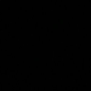 Meet your Posher, Gemma